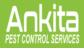 Ankita Pest Control Services